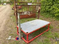 Sheep show trimming stand