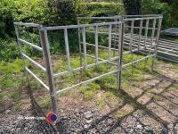Calf pen - 2