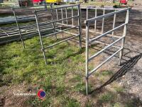 Calf pen - 3