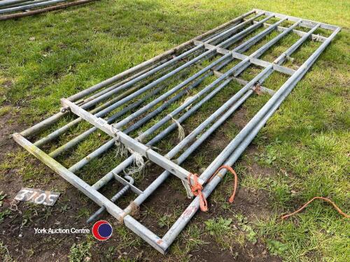 Pair of Ritchie 10ft gates