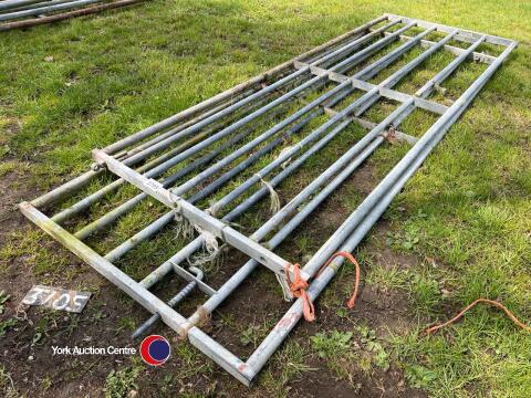 Pair of Ritchie 10ft gates