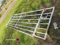 Pair of Ritchie 10ft gates - 4