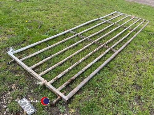 Ritchie 12ft gate