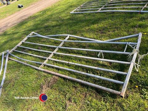 Ritchie 10ft gate
