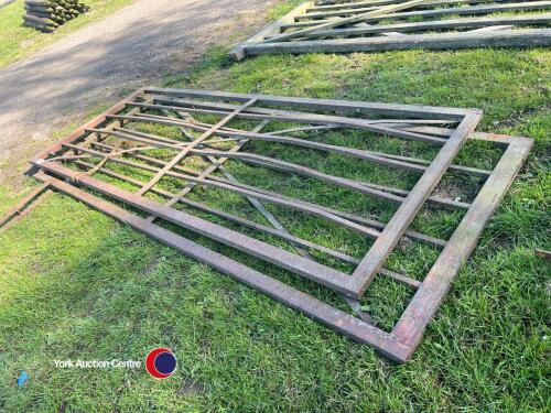 Pair of 10x4ft metal gates