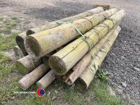 Pack of large round posts - 3