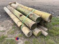 Pack of large round posts - 4