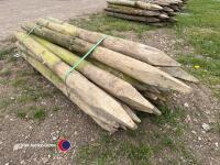 25 x 4in fence stakes - 4