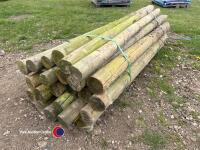25 x 4in fence stakes
