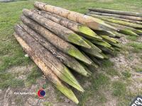 30 x fencing posts - 2