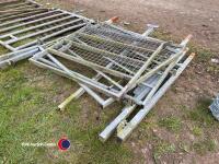 3 x sheep gates with frames, 5ft x 4ft - 4