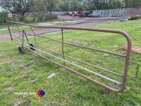 Gate on wheels - 2