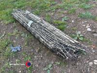 50m electric sheep netting - 2
