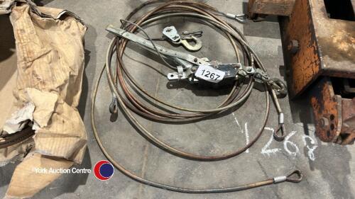 Come along winch and cable loops