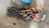 2 leg set of chains with shorteners