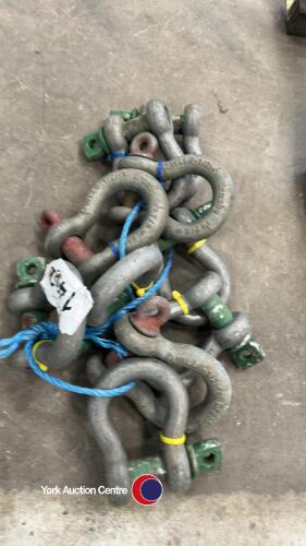 10 x lifting shackles