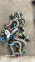 10 x lifting shackles