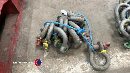 10 x lifting shackles