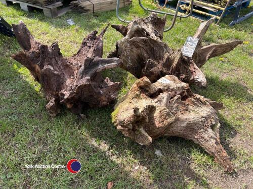 Three old oak stumps, garden feature