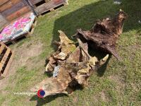 Three old oak stumps, garden feature - 3