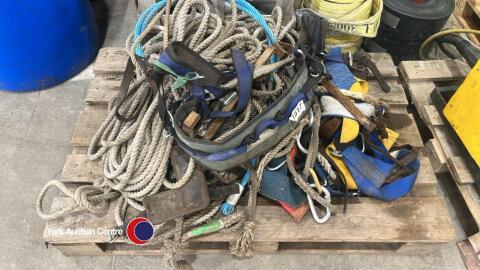 Climbing ropes and tree equipment
