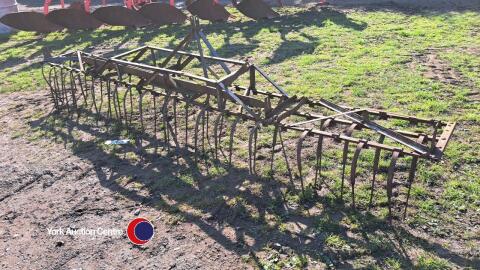 Ferguson cultivator/weeder