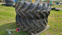 Trelleborg wheels and tyres 600/60R38 - 4