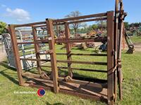 Cattle crush - 2