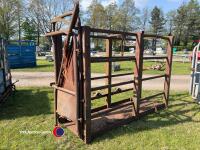 Cattle crush - 3