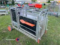 Ritchie lamb weigh crate with Trutest digital weigh head, it does work but needs a bit of attention, , control box in office - 2