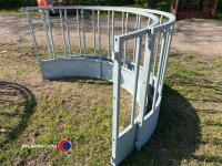 New sheep ring feeder - 3