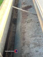 IAE calf creep - 5