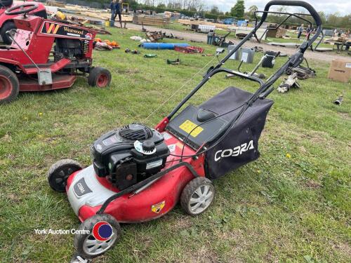 Cobra petrol mower