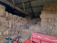 30 x Conventional bale hay, collection from East Cottingwith YO42