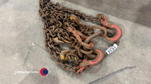 3 leg lifting chains