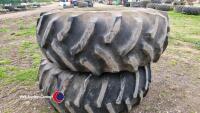 Muck spreader tyres