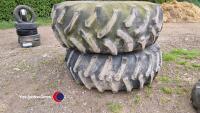 Muck spreader tyres - 5