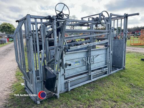 IAE cattle crush head scoop and Vet box