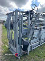 IAE cattle crush head scoop and Vet box - 5
