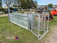Buffalo steel 16ft heavy duty sheep race - 2