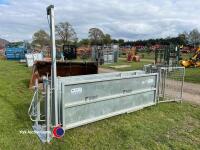 Buffalo steel 16ft heavy duty sheep race - 3