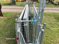 Buffalo steel 16ft heavy duty sheep race - 5