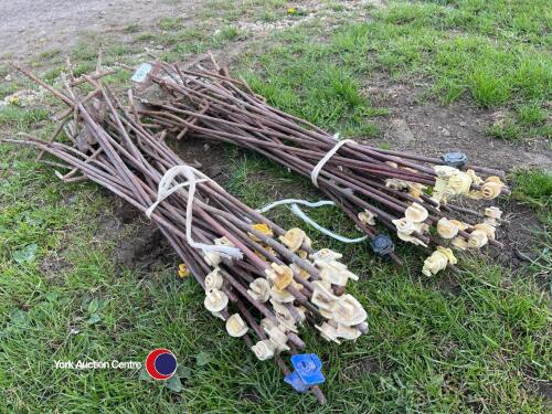 50 electric fence stakes