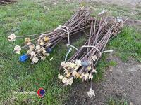 50 electric fence stakes - 2