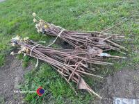 50 electric fence stakes - 3