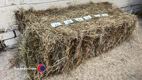 25 x small bales of hay, collection from YO30 1AY