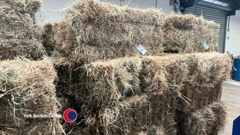 20 x Conventional bales of hay July 24, collection from York Auction Centre