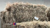 20 x Conventional bales of hay July 24, collection from York Auction Centre - 2
