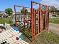 3 stall cattle system with head yokes - 2