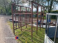 3 stall cattle system with head yokes - 3